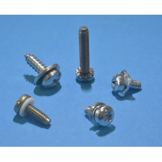 Screws with assembled washer