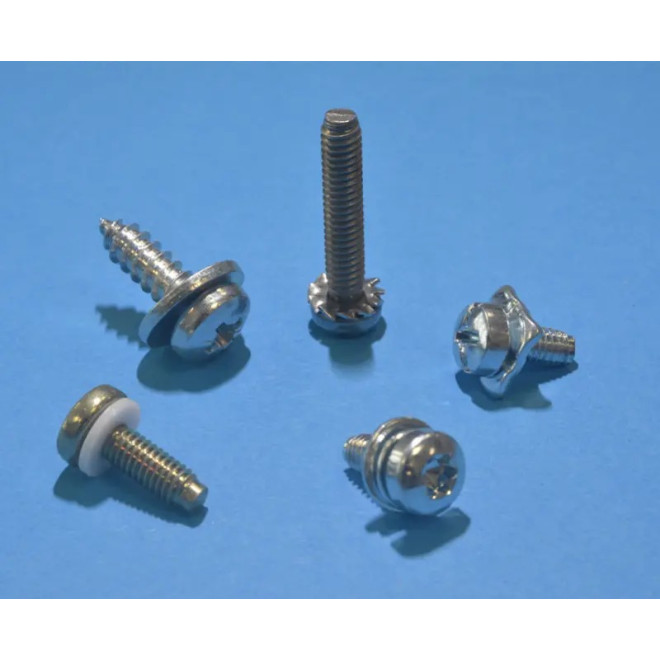 Screws with assembled washer